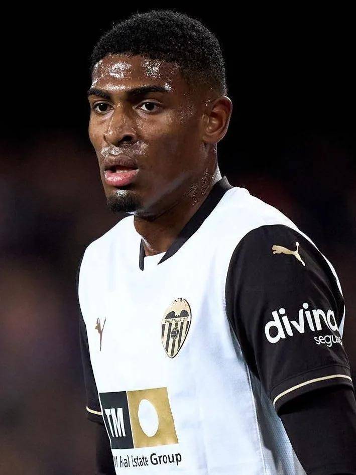 也可能成为 也可能成为